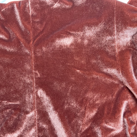 NWT Revelry Velvet Tube Top Terracotta Color Sleeveless Bustier size L - Picture 4 of 15